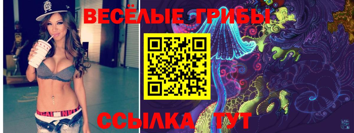 Галлюциногенные грибы Psilocybine cubensis Урай