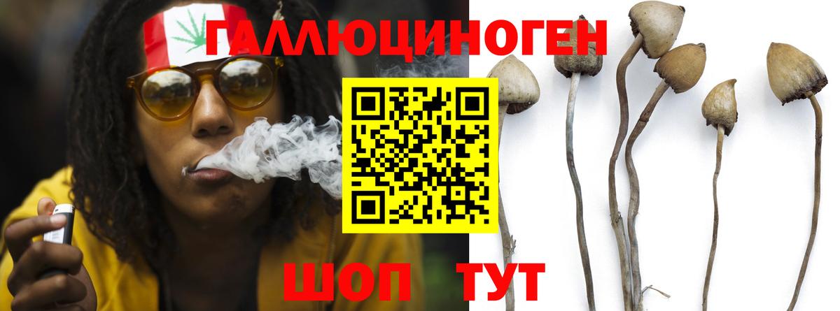 купить  цена  Галлюциногенные грибы Magic Shrooms  Вход с VPN  Урай 
